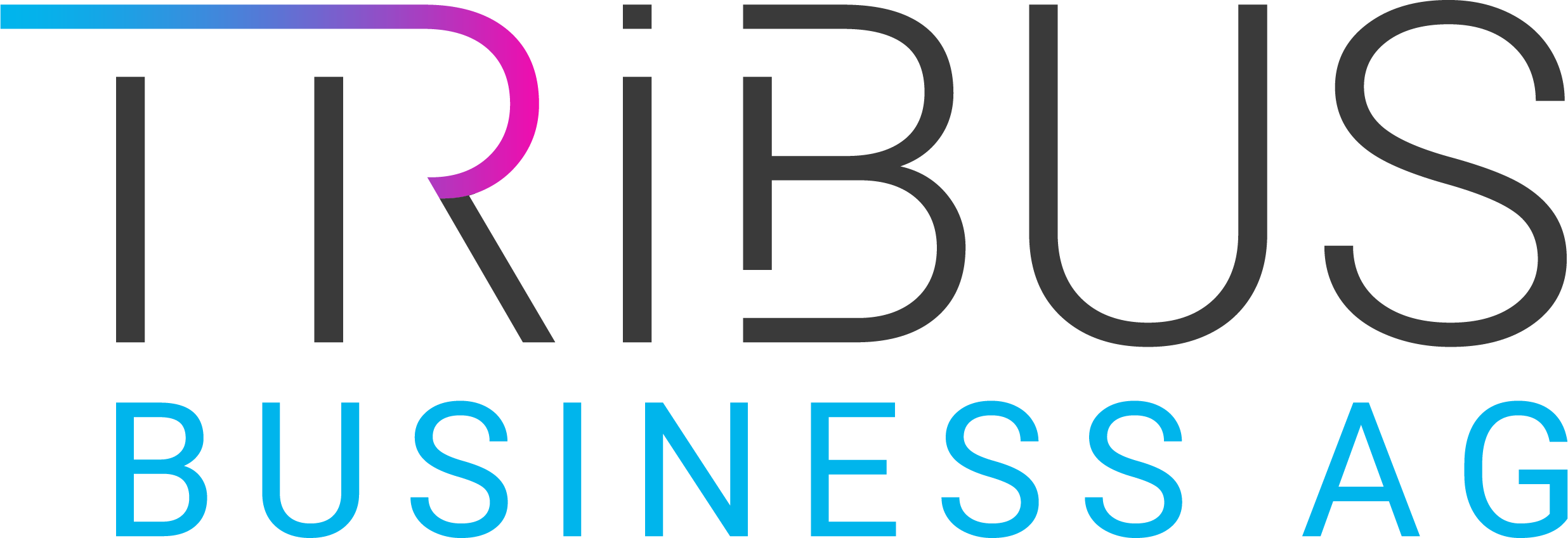 Tribus Business AG